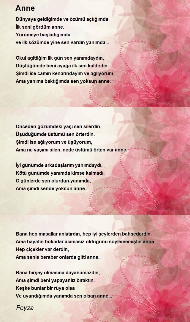 Şair Feyza