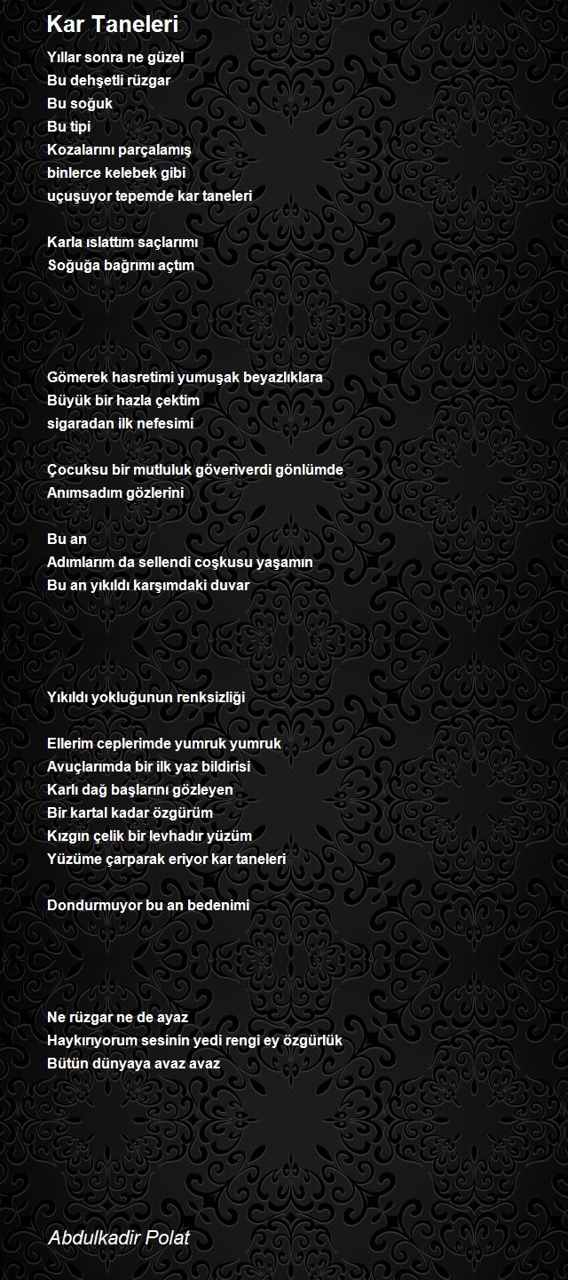 Abdulkadir Polat