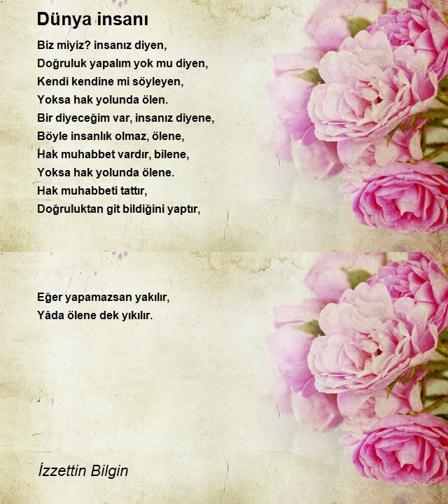 İzzettin Bilgin