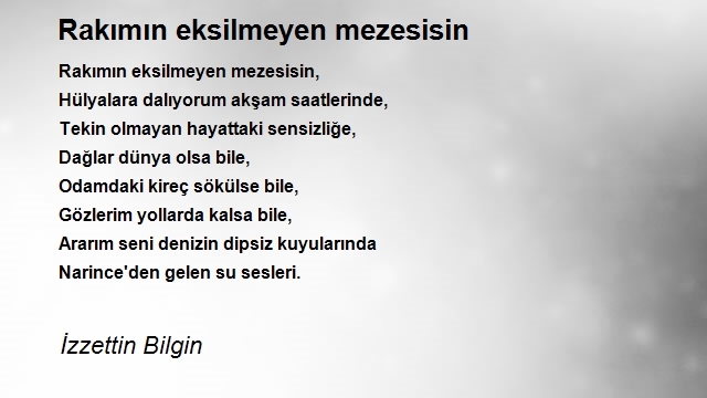 İzzettin Bilgin