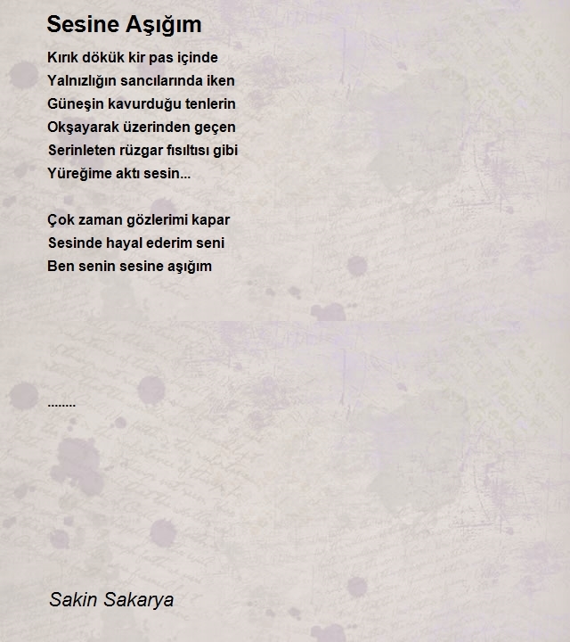 Sakin Sakarya