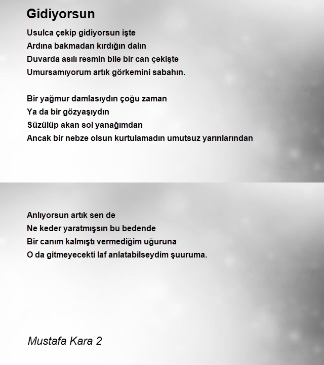 Mustafa Kara 2
