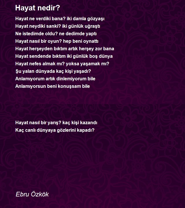 Ebru Özkök