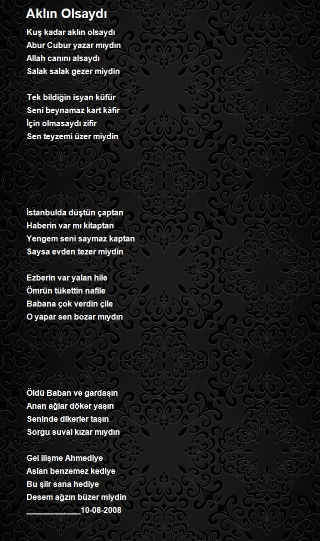Ahmet Ergin