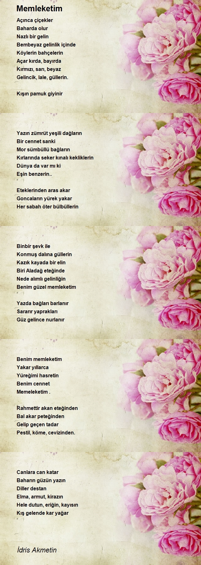 İdris Akmetin