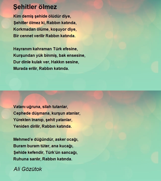 Ali Gözütok
