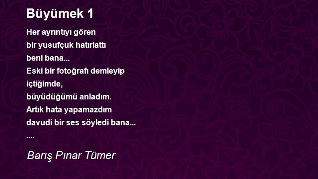 Barış Pınar Tümer