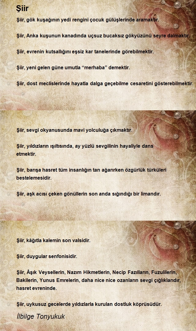 İlbilge Tonyukuk