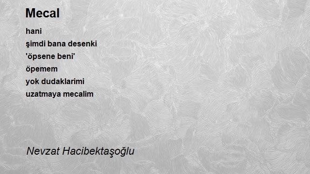 Nevzat Hacibektaşoğlu