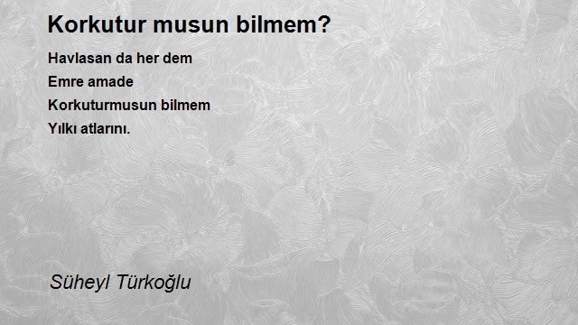 Süheyl Türkoğlu