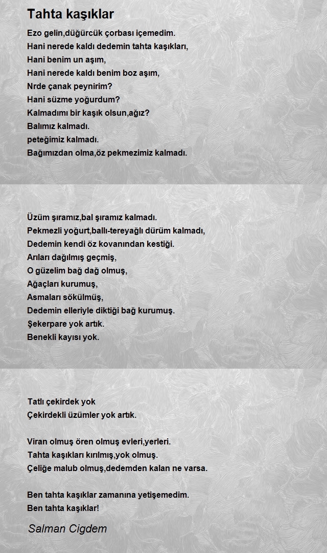Salman Cigdem