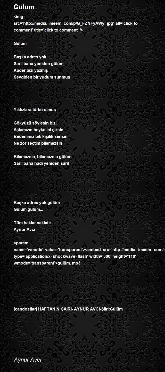 Aynur Avcı