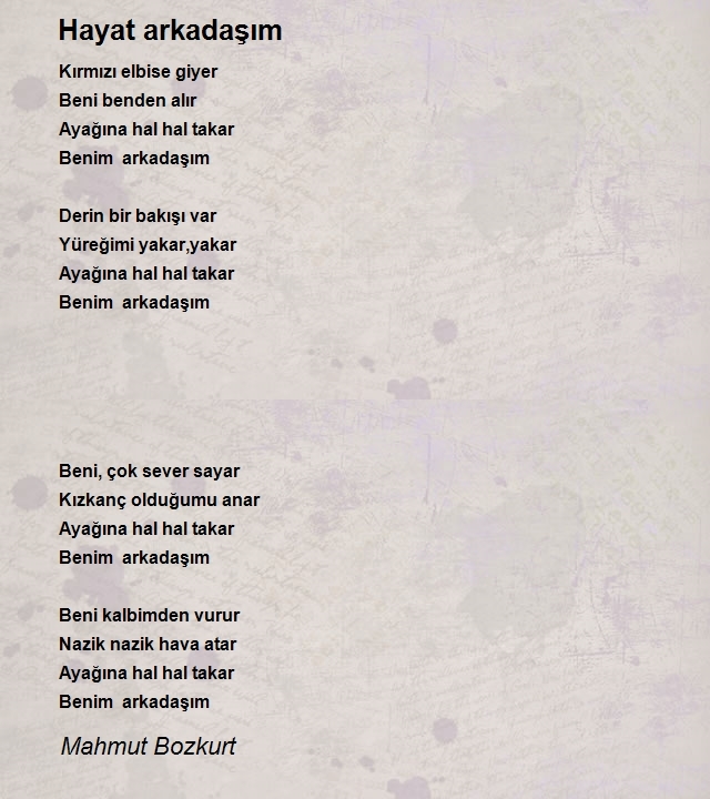 Mahmut Bozkurt