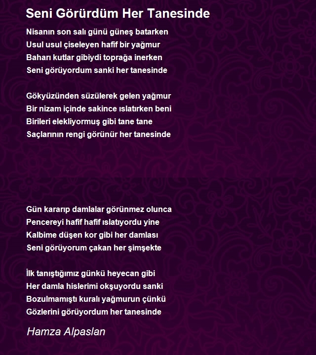 Hamza Alpaslan 