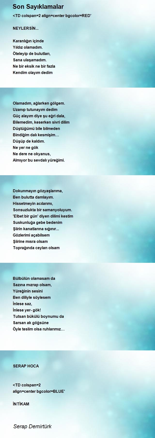Serap Demirtürk