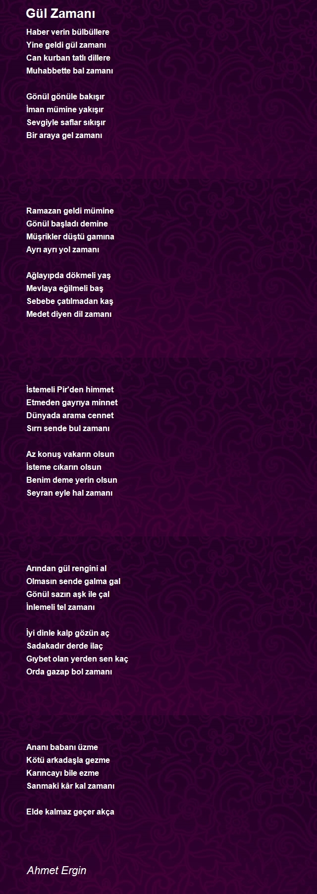 Ahmet Ergin