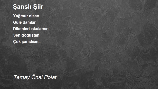 Tamay Önal Polat