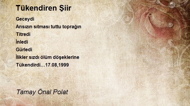 Tamay Önal Polat
