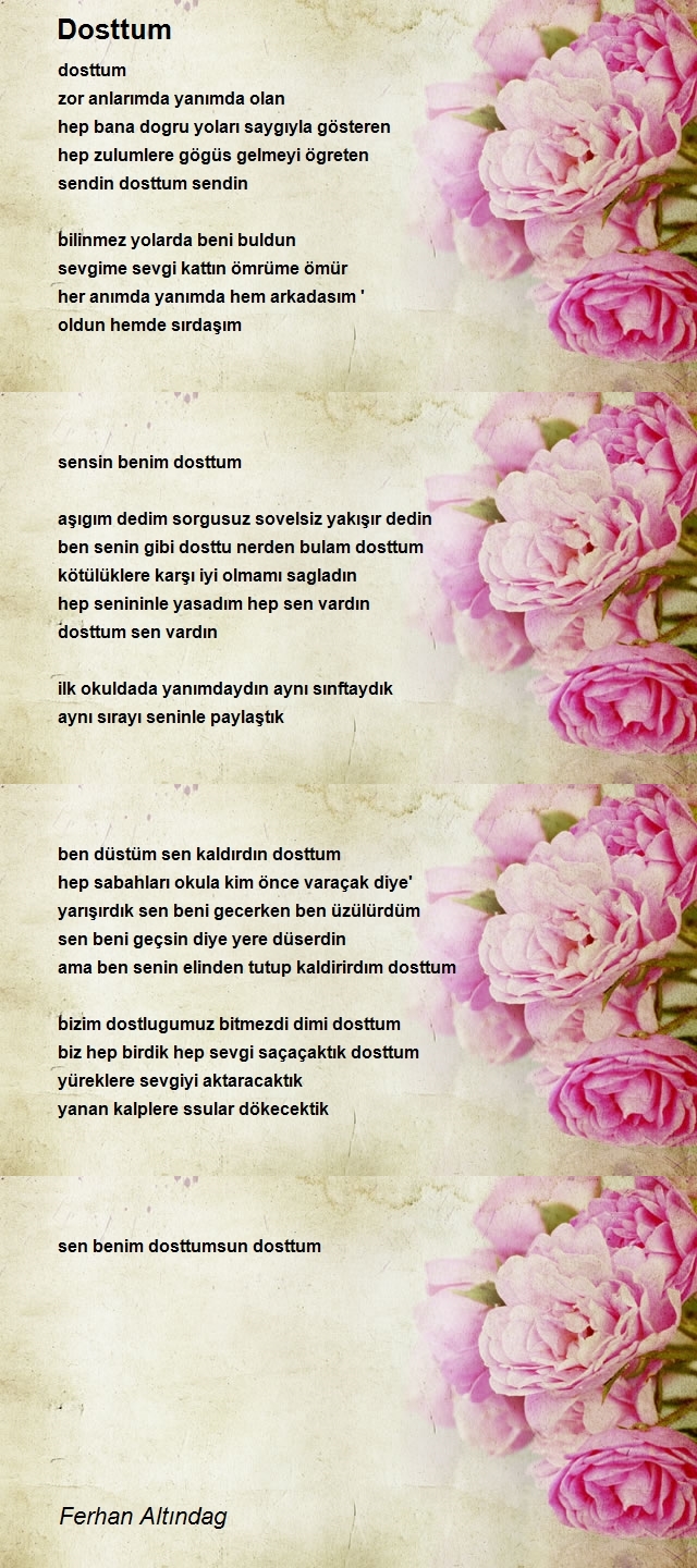 Ferhan Altındag