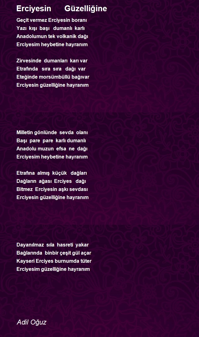 Adil Oğuz