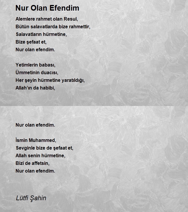 Lütfi Şahin