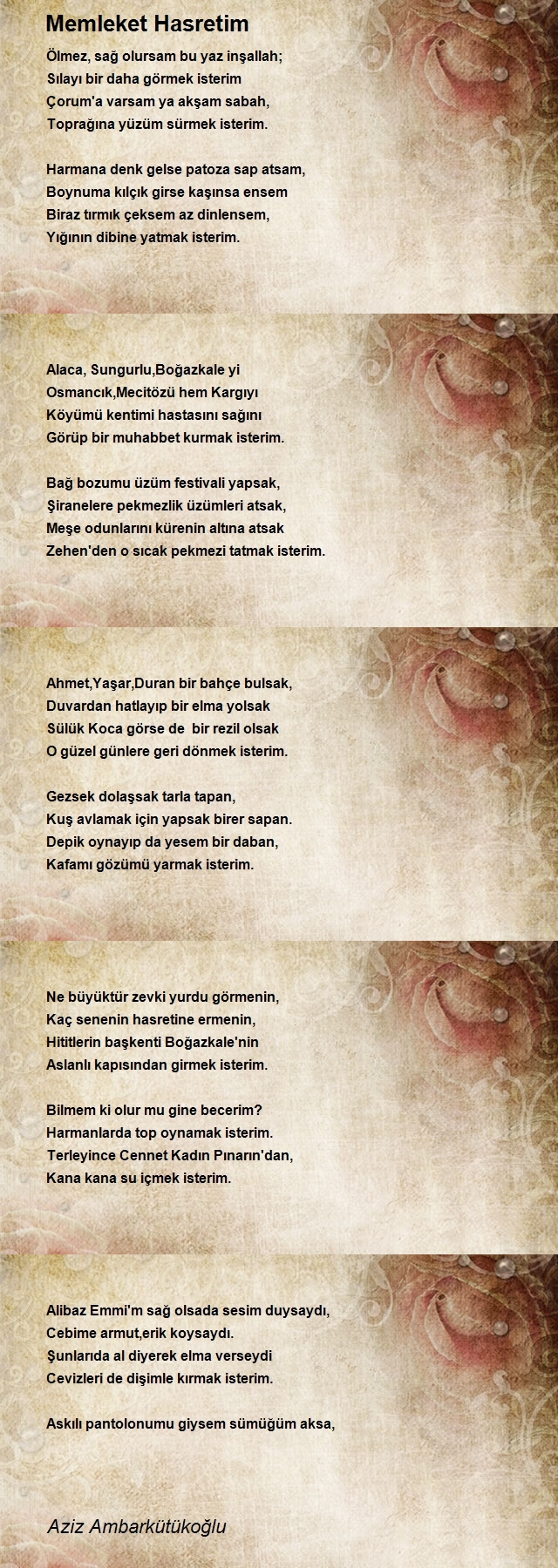 Aziz Ambarkütükoğlu