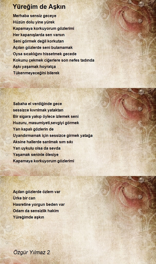 Özgür Yılmaz 2