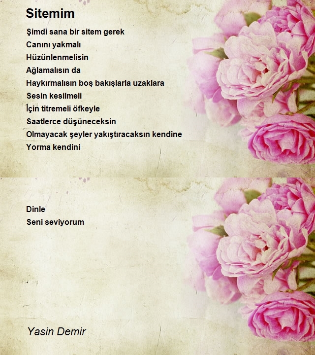 Yasin Demir