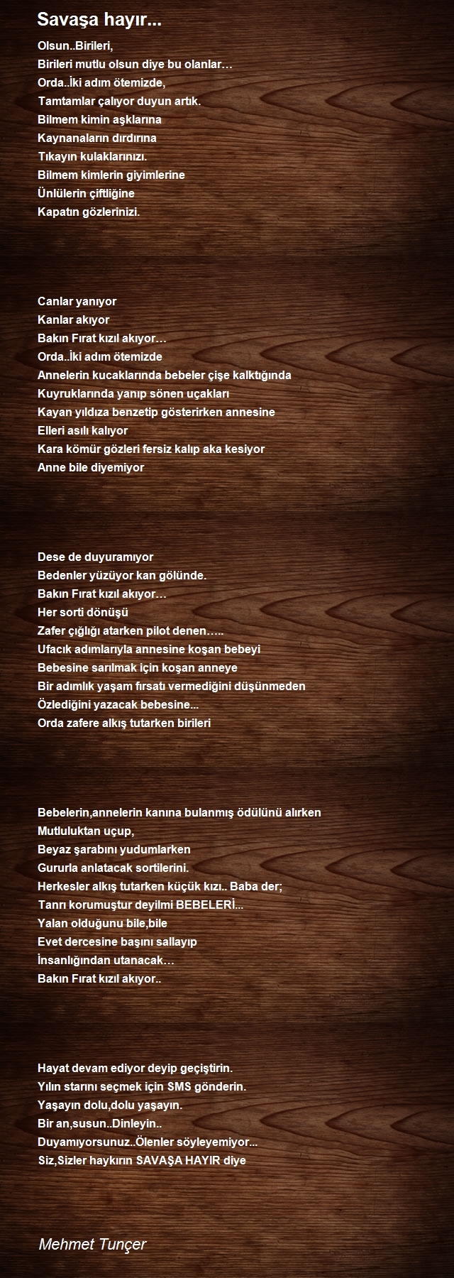 Mehmet Tunçer