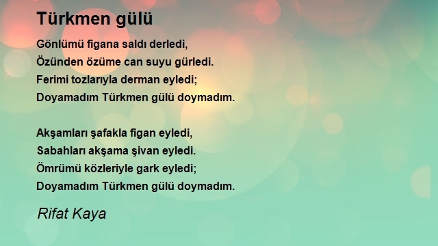 Rifat Kaya