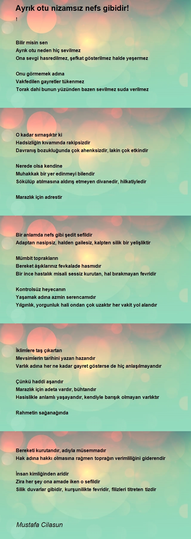 Mustafa Cilasun