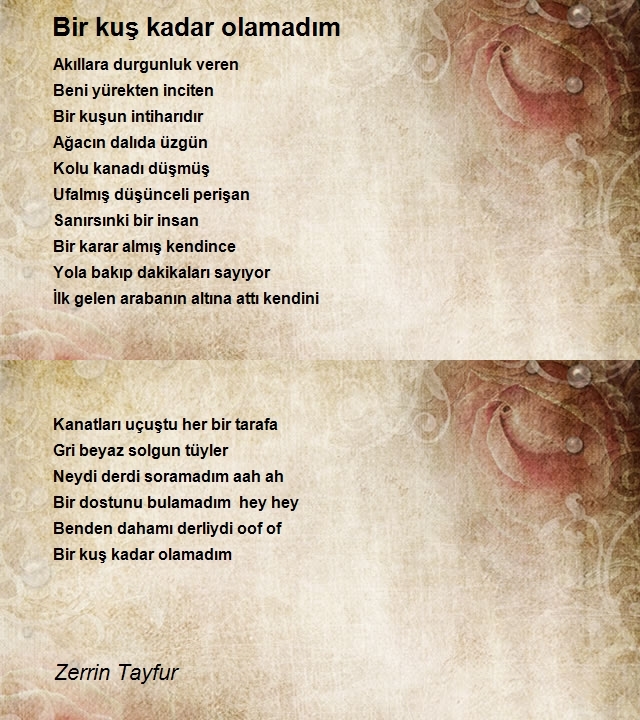 Zerrin Tayfur