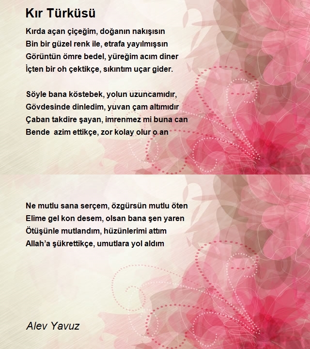 Alev Yavuz