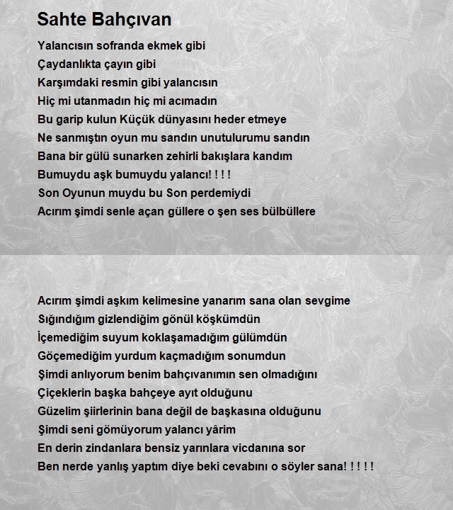 Asi Ayşe