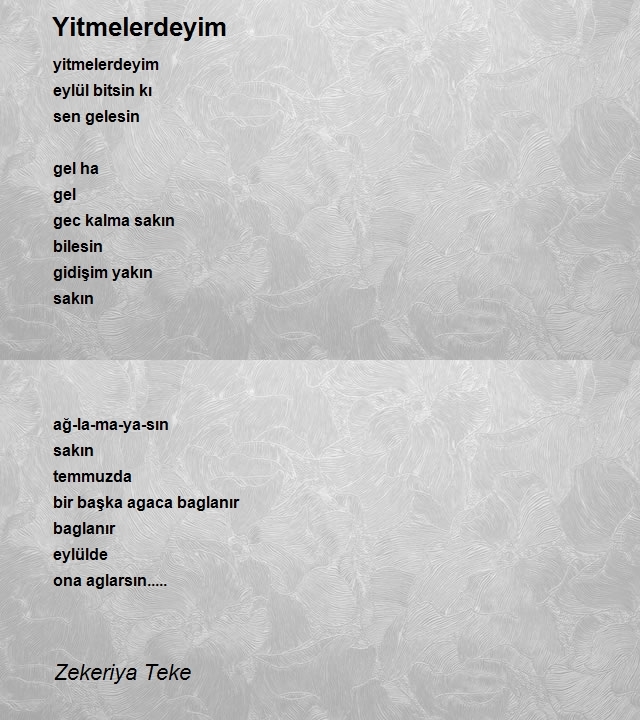 Zekeriya Teke