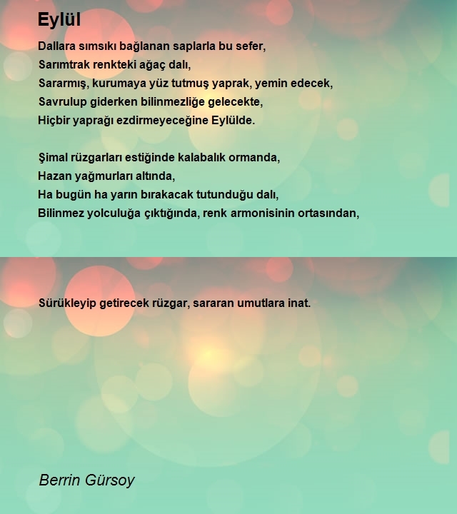 Berrin Gürsoy