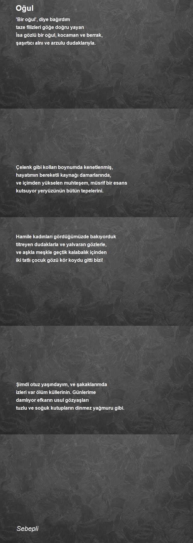 Şair Sebepli
