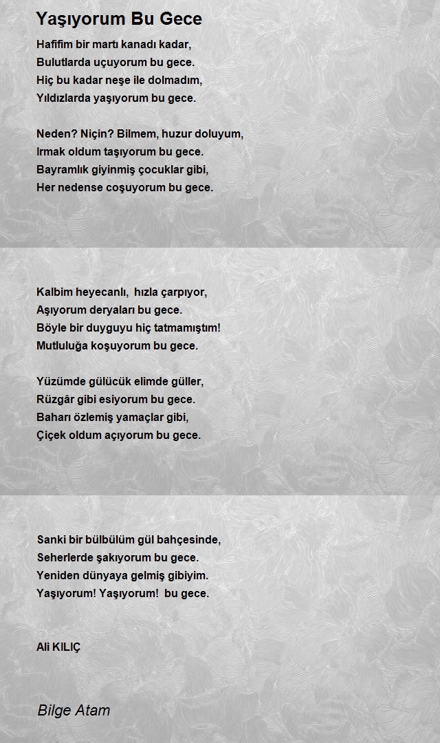Bilge Atam
