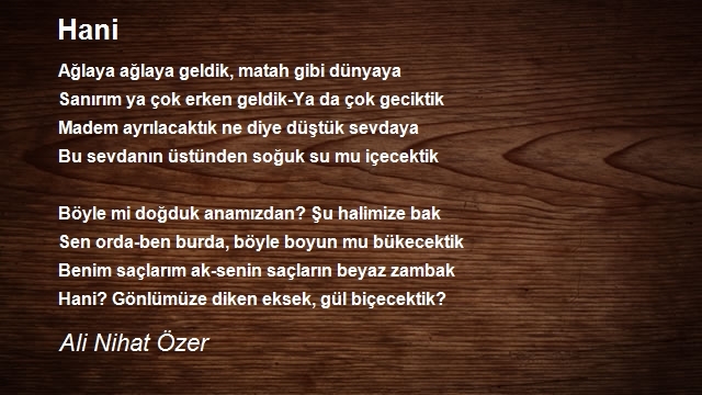 Ali Nihat Özer
