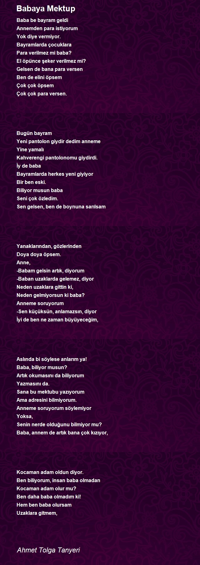 Ahmet Tolga Tanyeri