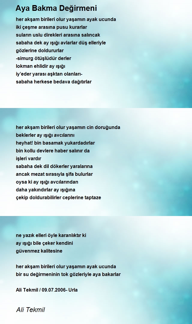 Ali Tekmil