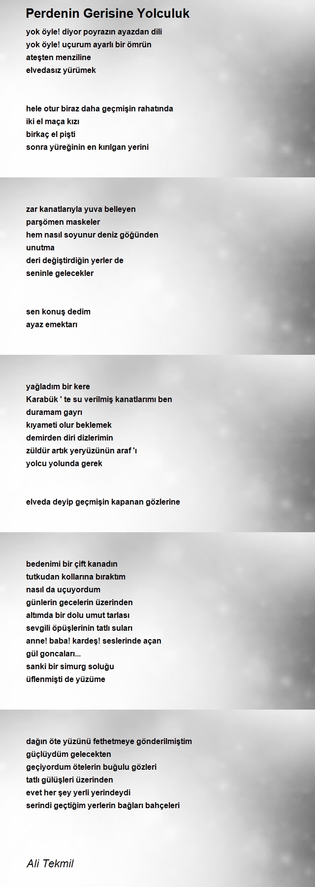 Ali Tekmil