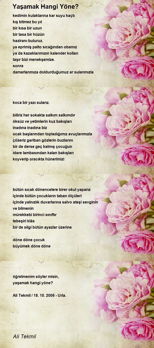 Ali Tekmil