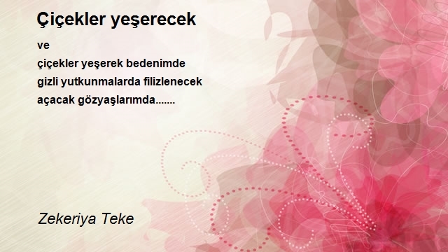 Zekeriya Teke