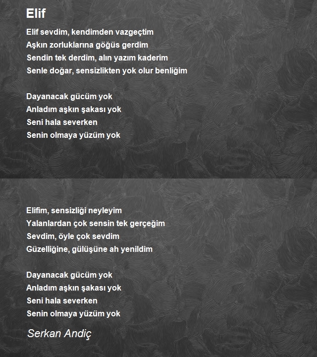 Serkan Andiç
