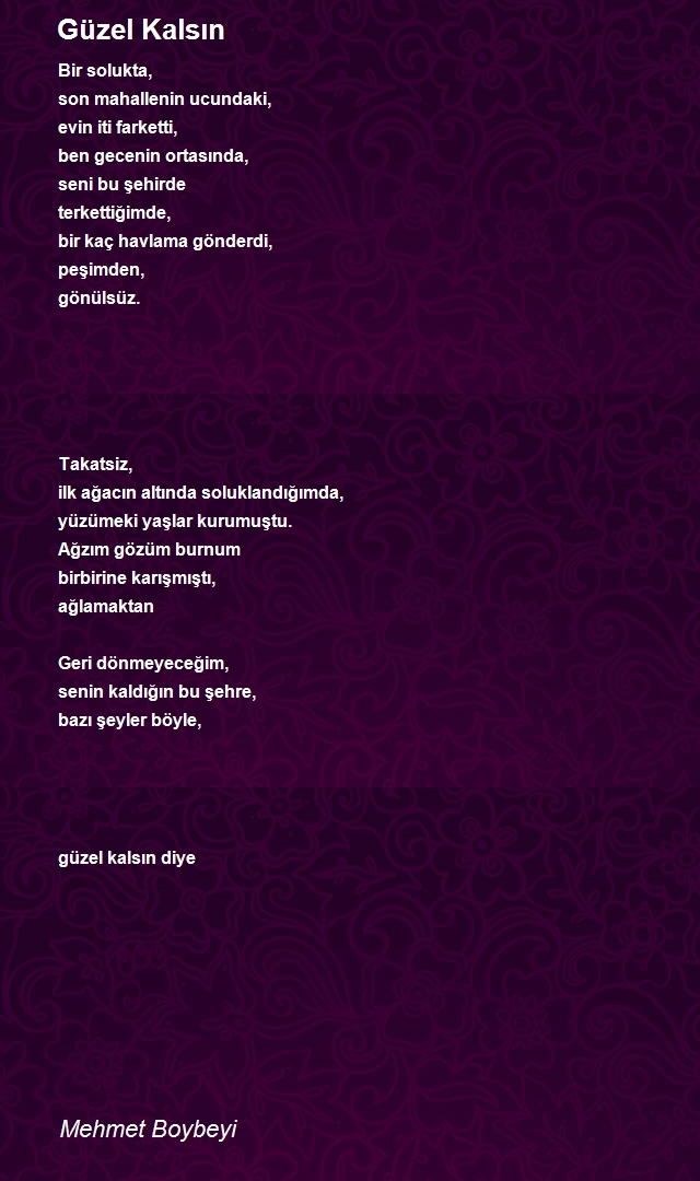 Mehmet Boybeyi