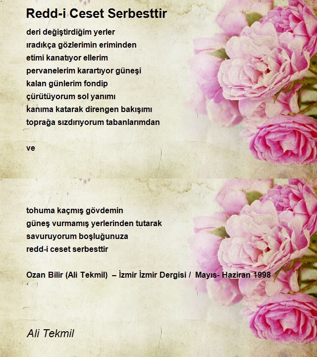 Ali Tekmil