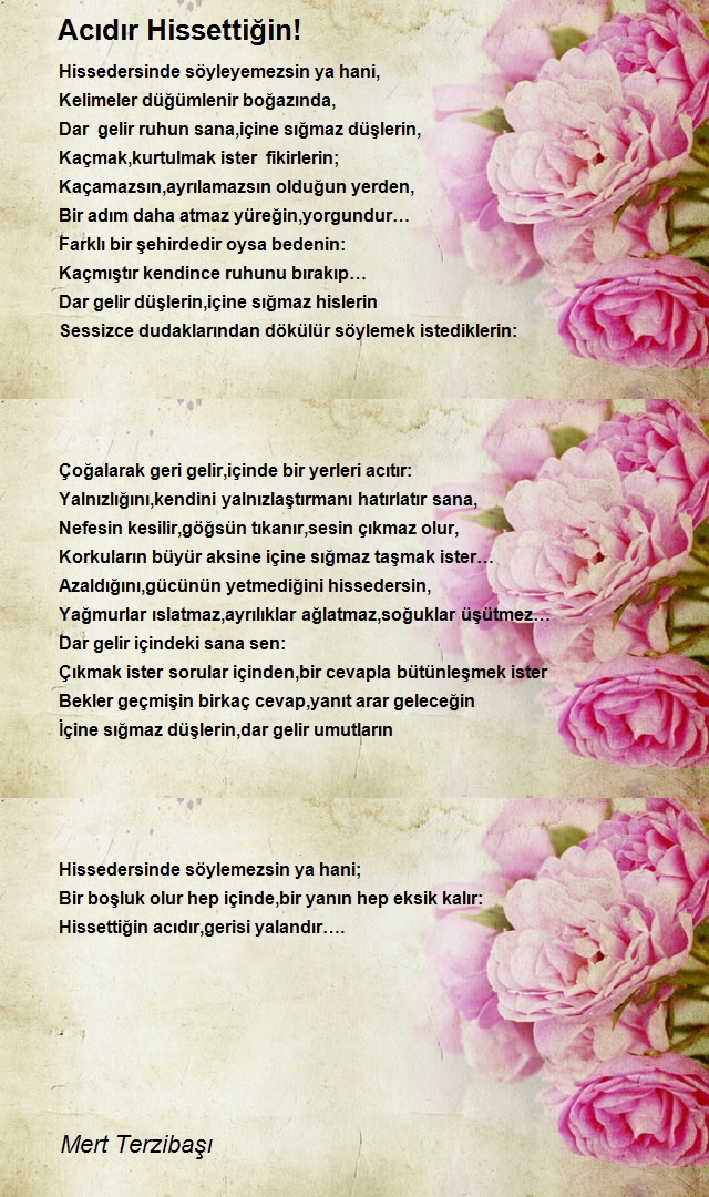 Mert Terzibaşı