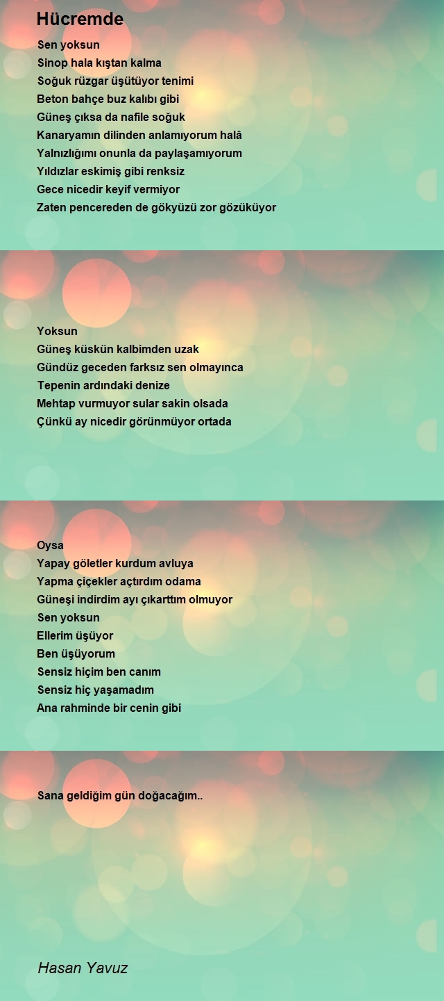 Hasan Yavuz