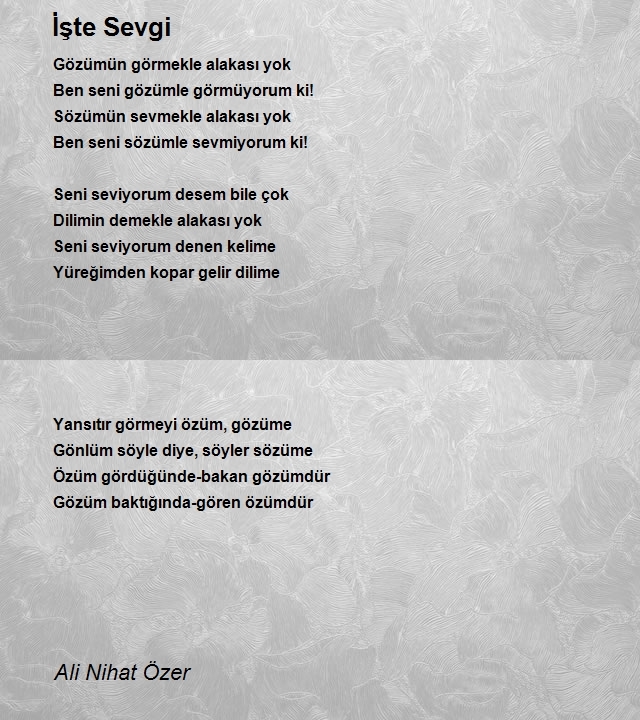 Ali Nihat Özer